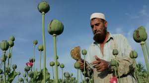 Maybe you would like to learn more about one of these? Afganistan Podra Vender Toneladas De Opio A Companias Y Paises Autorizados Cuentas Claras Digital