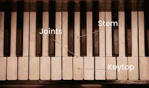 How To Clean Piano Keys: A Step By Step Guide
