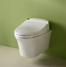 It happens in the nicest of households. 8 Best Wall Mounted Toilets For Residential Commercial
