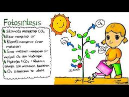 Doraemon adalah tokoh kucing fiktif ciptaan fujiko f. Cara Menggambar Cmenggambar Profile Pinterest