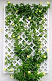 Clever Ways To Add Space With Creative Vertical Gardens Vertikaler Garten Gitterwand Gartenspaliere