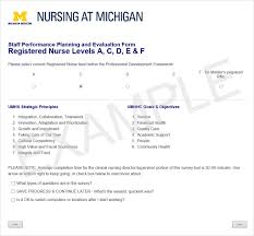 Nursing At Michigan Performance Evaluations