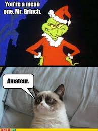 Grumy Cat Christmas Quotes Quotesgram