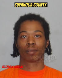 CALVIN ARNOLD FELONIOUS ASSAULT DOMESTIC VIOLENCE #Clevelandmugshots  #cuyahogamugshots #Cuyahoga