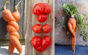 Sauvons Les Legumes Moches Fruits Amusants Legumes Fruits Et Legumes