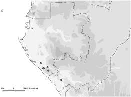 Image result for Carpolobia goetzei