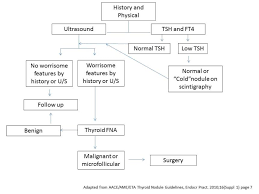 The causes of thyroid cancer are not known , factors that may increase the risk of thyroid cancer include gender , seen more often in women than in men. Thyroid Nodules And Thyroid Cancer Cancer Therapy Advisor