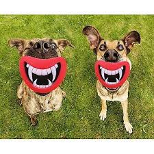 Hot Funny Pet Puppy Dog Animals Teeth Toy Chew Sound Dogs Silicone Play Toys S Pet Dogs Puppies Dog Sounds Toy Puppies