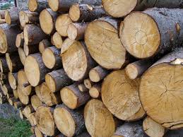 La question est souvent posée : Comment Choisir Mon Abri Buches Et Mon Bois De Chauffage
