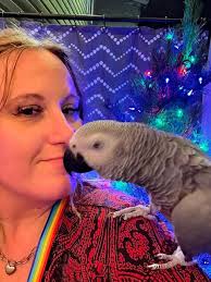 Good morning from leila