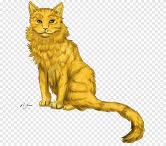 Savascilar Kedi Vahsi Geceye Fisildayan Erin Hunter Kedi Memeli Hayvanlar Png Pngegg