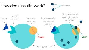 If you're looking to start seeing better, you might think about turning to glasses, contact lenses and corrective surgery — the most common methods people use to improve their vision. What Is Insulin Resistance