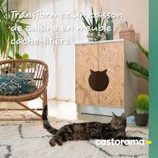 Epingle Sur Mascotas