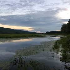 Kayaking or canoeing through the wetland are also popular activities at the wetland. Photos At Bashakill Wildlife Management Area Wurtsboro Ny