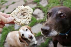 Ces Biscuits Banane Et Beurre D Arachide Feront L Envie De Tous Les Chiens Du Voisinage Labrador Retriever Dogs Labrador