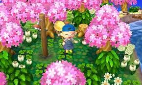 Popcorn Crossing Animal Crossing Animal Crossing Qr Qr Codes Animal Crossing