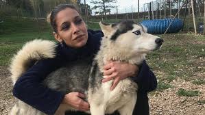 Découvrez tous les campings avec chien accepté en france et profitez de vos vacances avec ensemble. Vos Chiens Heureux En Pension A Moncetz L Abbaye Comme A La Maison