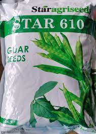 Hybrid Grey Guar Clusterbean Seed STAR-610, For Agriculture, Packaging  Size: Star Agrigenetics Pvt Ltd