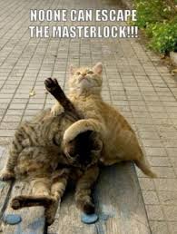 30 Of The Best Funny Animal Pictures Funny Animal Photos Funny Animal Pictures Funny Cats And Dogs