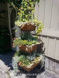40 Unique Container Gardening Ideas Empress Of Dirt Diy Container Gardening Plants Container Gardening Vegetables