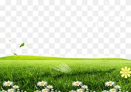 Check spelling or type a new query. Posters Flowers Background Png Images Pngwing