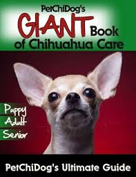 Covers health, diet, behavior, training and much more. Petchidog S Giant Book Of Chihuahua Care Petchidog 9781983982156 Amazon Com Books
