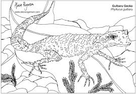 Here's how you can help the endangered red squirrel. Free Endangered Animal Colouring Pages Alicia Rogerson Art