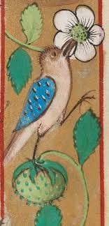 Birds Of Cape Cod Book Utopia Armarium Codicum Bibliophilorum Cod 103 F 39r Book Of Hours Of Benigne Serre Book Of Hours Illuminated Manuscript Art