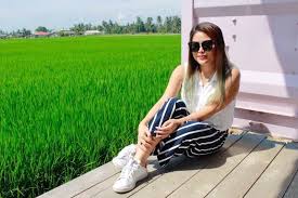 A homestay made of a bunch of colorful shipping containers stack on each other around a central courtyard: Padi Box Homestay Sekinchan The Coolest Container Hotel In The Middle Of Paddy Fields Lamyerda