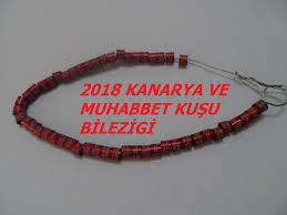 2019 Rengi Siyah 2018 Rengi Kirmizi Kaya Kus Bilezikleri Kunye Marka Facebook