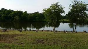 Whispering Woods Hotel Conference Center 65 8 4 Prices Reviews Olive Branch Ms Tripadvisor