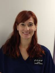 Compassionate care animal hospital, brooklyn park, mn. Our Doctors