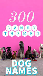 By samantha story updated march 12, 2019. Candy Dog Names
