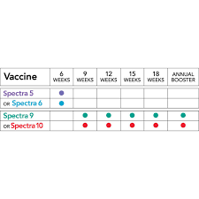 Canine Spectra 6 Dog Vaccine Pbs Animal Health