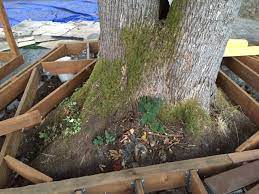 Check spelling or type a new query. Fill Drained Rocks Or Gravels Around Tree Base Surrounding By Deck Home Improvement Stack Exchange