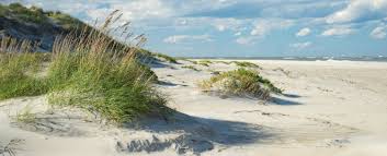 The teens are engaging and fun in this preposterous script. What Are The Best Movies Filmed In The Outer Banks Shoreline Obx