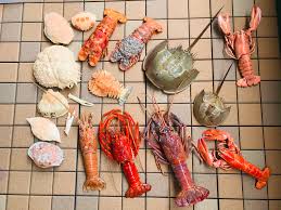 魚食普及推進センター - 大日本水産会