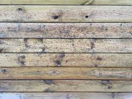 Image result for site:byggahus.se hardwood