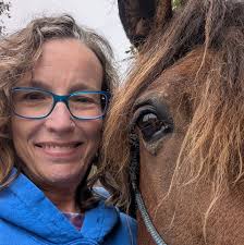 Introduction to horse whorls study group