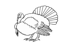 Easy how to draw a turkey. How To Draw A Turkey Step By Step Easy Animals 2 Draw