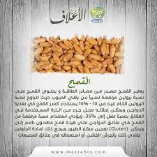 يعتبر القمح مصدر من مصادر الطاقة و يحتوي القمح على نسبة بروتين مرتفعة نسبيا عن باقي الحبوب حيث تتراوح نسبة البروتين الخام فيه من 10 1 condiments food cereal