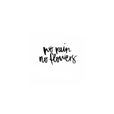 Morningthoughts Quote No Rain No Flowers Flowers Quotes Tumblr Rain Quotes Typography Quotes