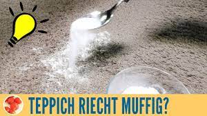 In der übergangszeit sollten abtreter den boden schonen und das fahrzeug kann weiterhin genutzt werden. Genialer Trick Teppich Riecht Muffig Teppich Einfach Reinigen Mit Diesem Hausmittel Youtube