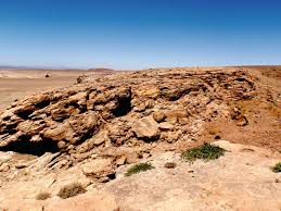 Image result for Desert Tan 1977 Hussmann