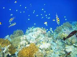 We did not find results for: Center Palau å¸›ç‰å¤§æ–·å±¤big Drop Off Center Reina4ever S Blog ç—žå®¢é‚¦