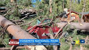 Come shop the best and biggest selections for evergreen trees at one of our locations today! Howling Winds Topple Trees Causing Power Outages And Closing Yosemite Abc30 Fresno