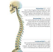 Ruckenschmerzen Wann Ein Bandscheibenvorfall Zum Notfall Wird Welt