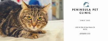 548 glenwood ave, menlo park (ca), 94025, united states. Peninsula Pet Clinic Home Facebook