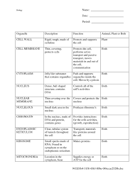 6 Best Images Of Animal Cell Organelles Functions Chart Cell Organelles And Their Functions
