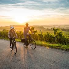 Sudliche Weinstrasse Radrundwege Sudliche Weinstrasse